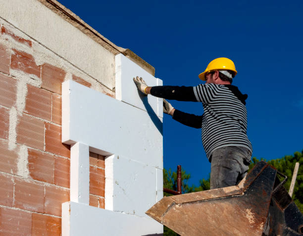 Best Insulation Installation Services in Fisher, IL